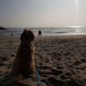 Meet your Posher, Betty